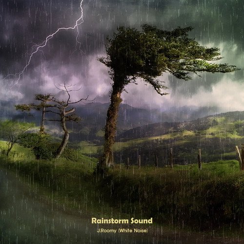 Rainstorm Sound_poster_image