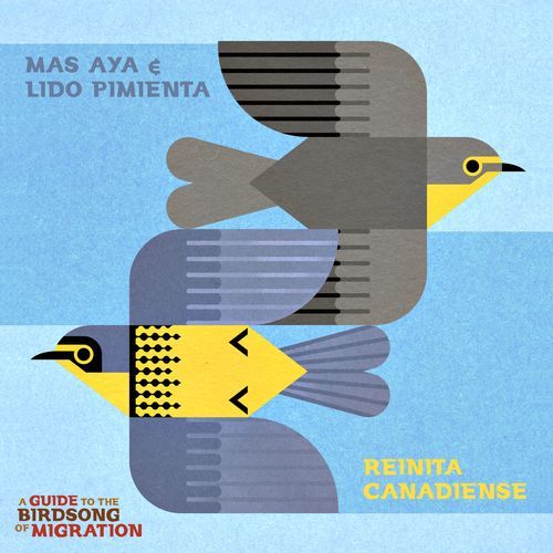Reinita Canadiense cover art