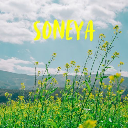 Soneya