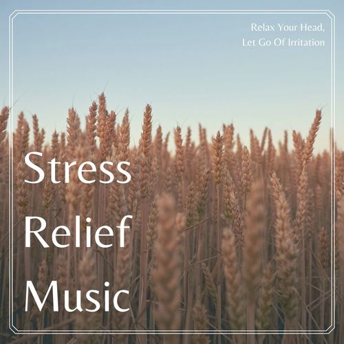 Stress Relief Music: Relax Your Head, Let Go Of Irritation_poster_image