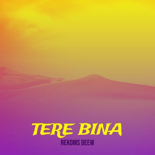 Tere Bina