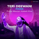 Teri Deewani (Phonk)