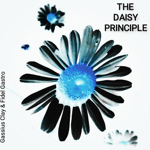 The Daisy Princple cover art