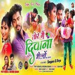 Tor Me Deewana Bhelo