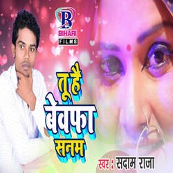 Tu Hai Bewafa Sanam-IwUvXBlRY1g