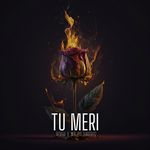 Tu Meri artwork