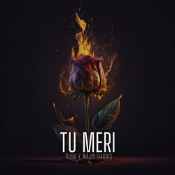 Tu Meri-Pl8OAUBIWVo