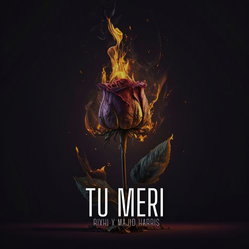 Tu Meri