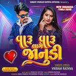 Varu Varu Lage Janudi