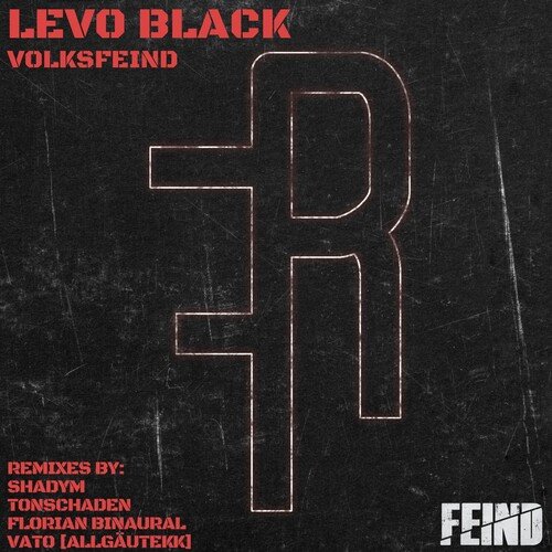 Volksfeind (Shadym Remix) cover art