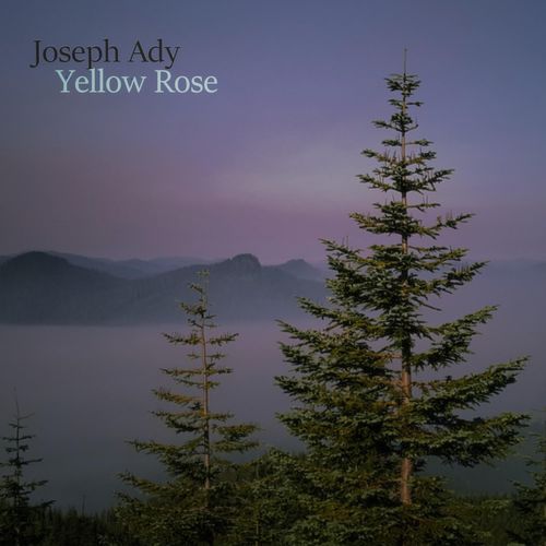 I Remember When I First Met You