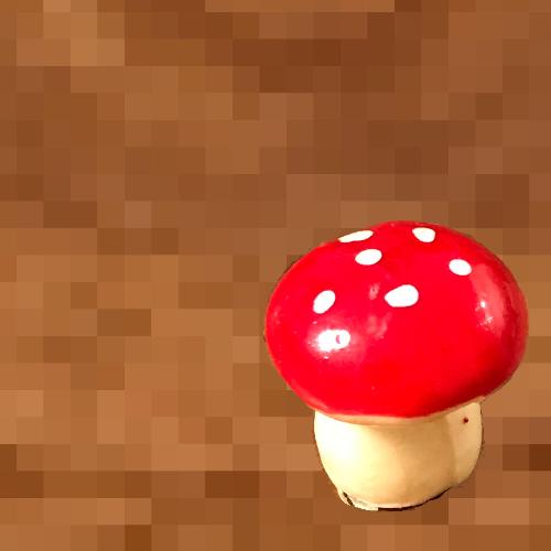 fly agaric cover art
