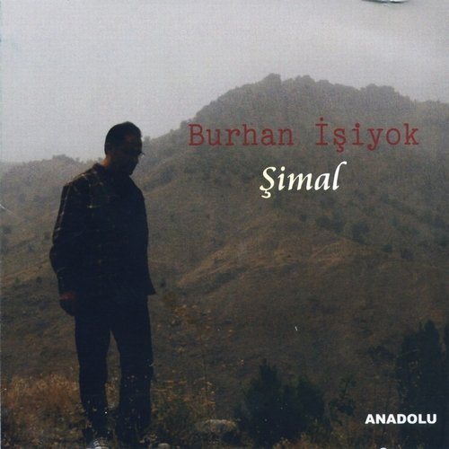Nazım Dönüyor cover art
