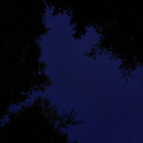 insomnia cover art