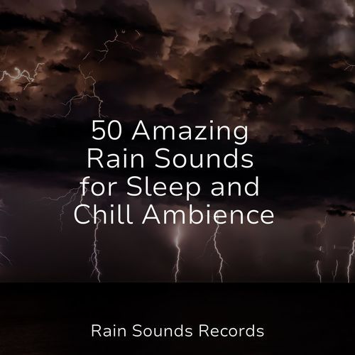 50 Amazing Rain Sounds for Sleep and Chill Ambience