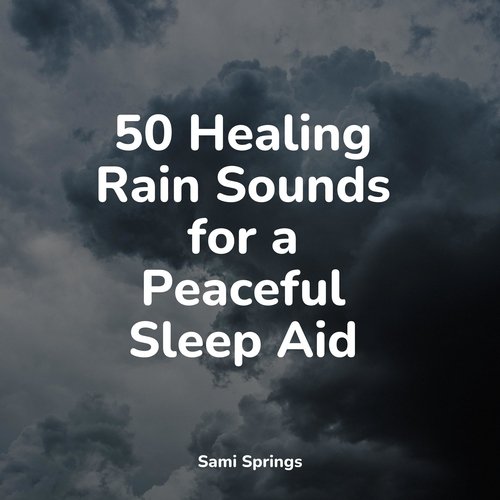 50 Healing Rain Sounds for a Peaceful Sleep Aid_poster_image