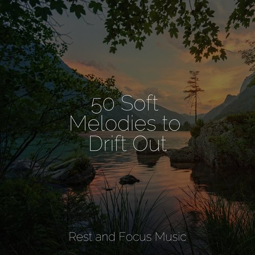 50 Soft Melodies to Drift Out