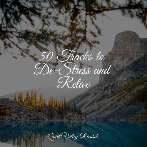 50 Tracks to De-Stress and Relax