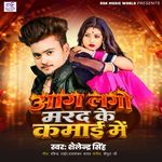 Aag Lago Mard Ke Kamai Me