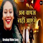 Ab Wapas Nahi Aayenge (Ghazal Song)