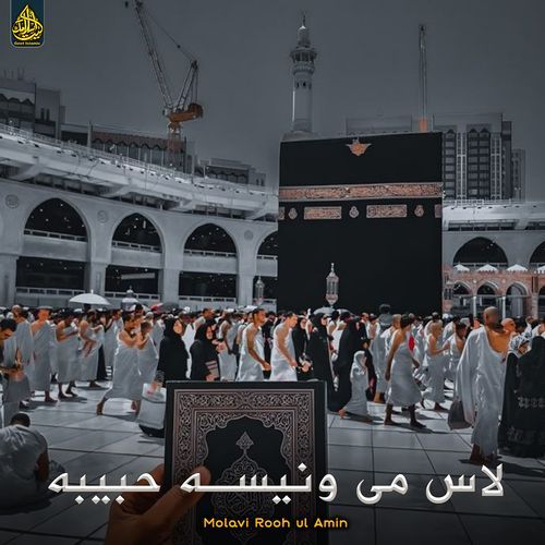 لاس می ونیسه حبیبه