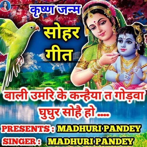 Baali Umar Ke Kanahiya Ta Godwa Ghughur Sohe Ho Krishna Janm Sohar Geet