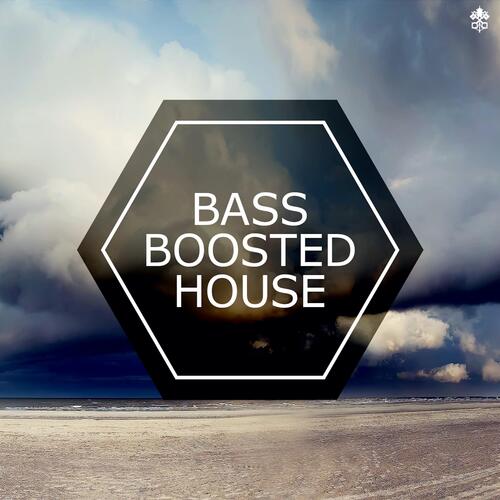 Bass Boosted House_poster_image