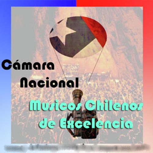 Cámara Nacional - Musicos Chilenos de Excelencia - Vol I