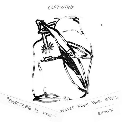 Everything Is Free (Water From Your Eyes Remix)_poster_image