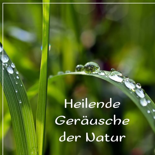 Taijiquan: Wasserfall in der Schweiz cover art