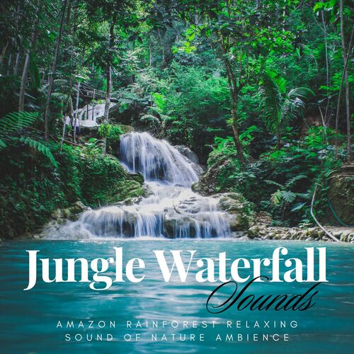 Nature Sounds Ensemble for Sleeping cover art