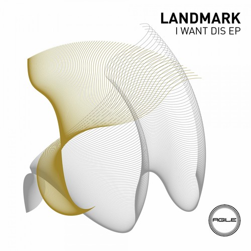 Landmark - I Want Dis EP