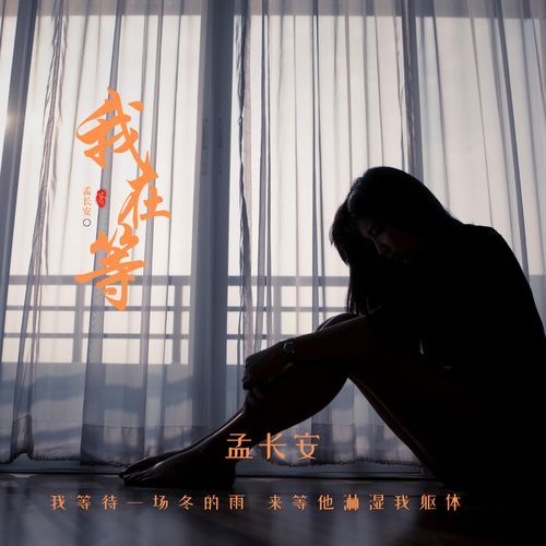 我在等 cover art