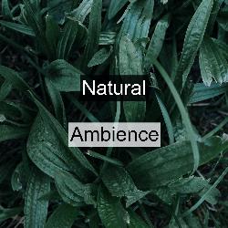 Natural Ambience