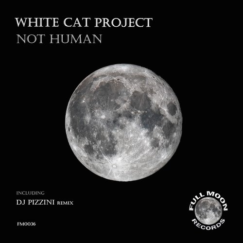 Not Human (DJ PIZZINI Remix) cover art