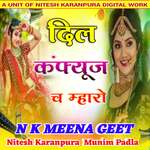 दिल कंफ्यूज च म्हारो