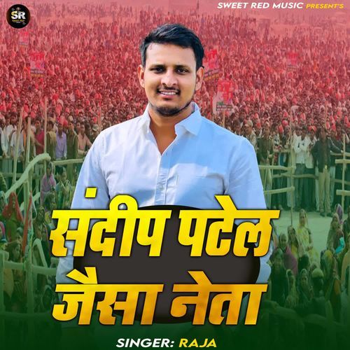 Sandeep Patel Jaisa Neta cover art