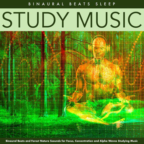 Study Music and Forest Sounds
