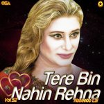 Tere Bin Nahin Rehna, Vol. 52