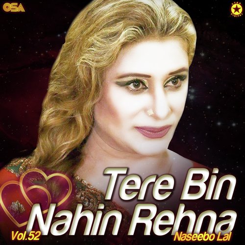 Tere Bin Nahin Rehna, Vol. 52_poster_image