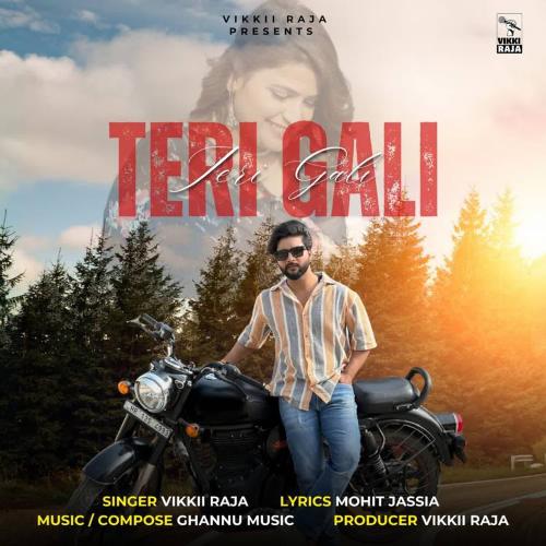 Teri Gali