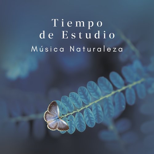 Tiempo de Estudiar cover art
