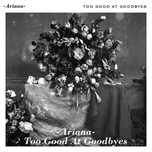 Too Good at Goodbyes_poster_image