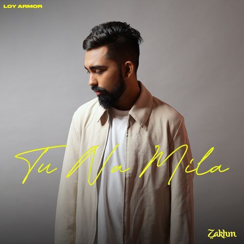 Tu Na Mila (From "Zakhm")