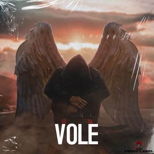 Vole cover art