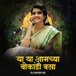 Ya Ya Amchya Bokandi Basa (DJ Remix)