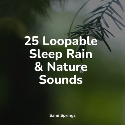 25 Loopable Sleep Rain &amp; Nature Sounds_poster_image