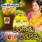 Bathukamma Pata