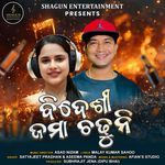 Bidesi Jama Chadhuni