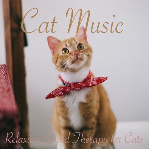 Cat Music: Relaxing Sound Therapy for Cats